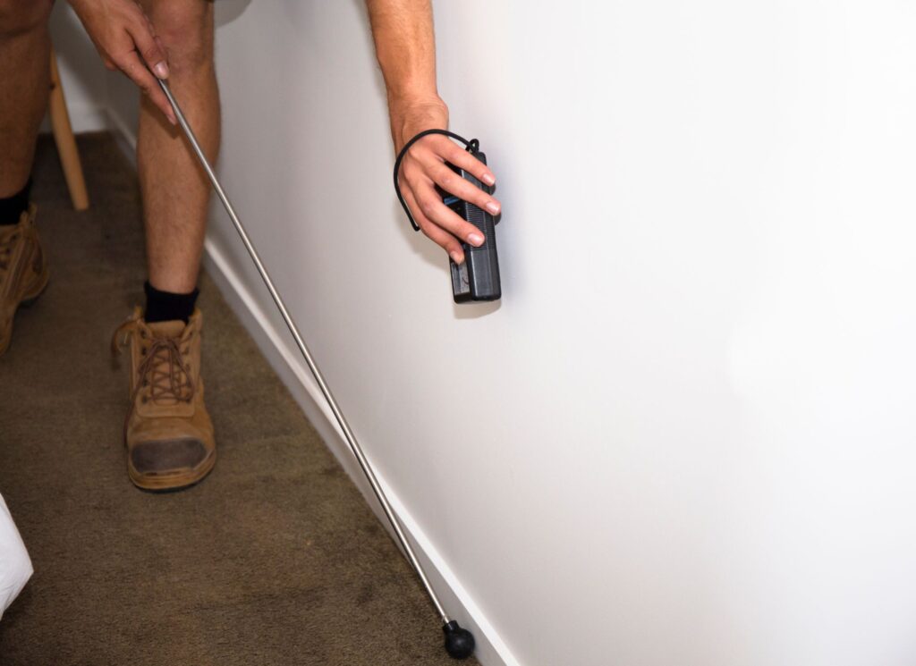 pre purchase building and pest inspection